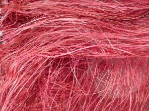 Pinke Fasern, Blog von Cradle to Cradle NGO