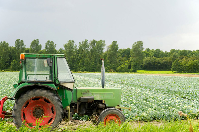 Traktor vor grünem Feld