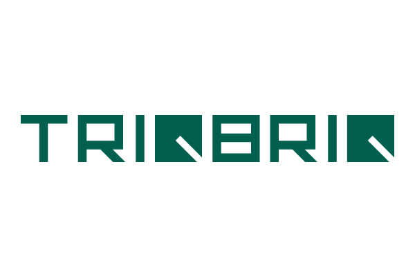 Triqbriq Logo dunkelgrün